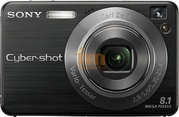 Фотоаппарат Sony Cyber-shot DSC-W130 